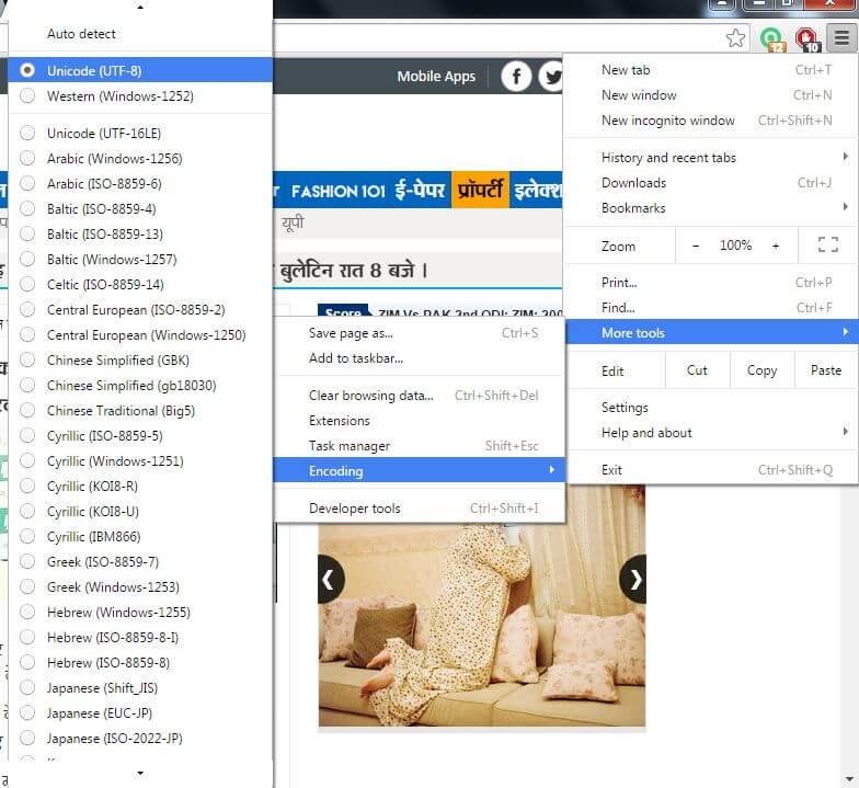 Setting Chracter Encoding in Google chrome